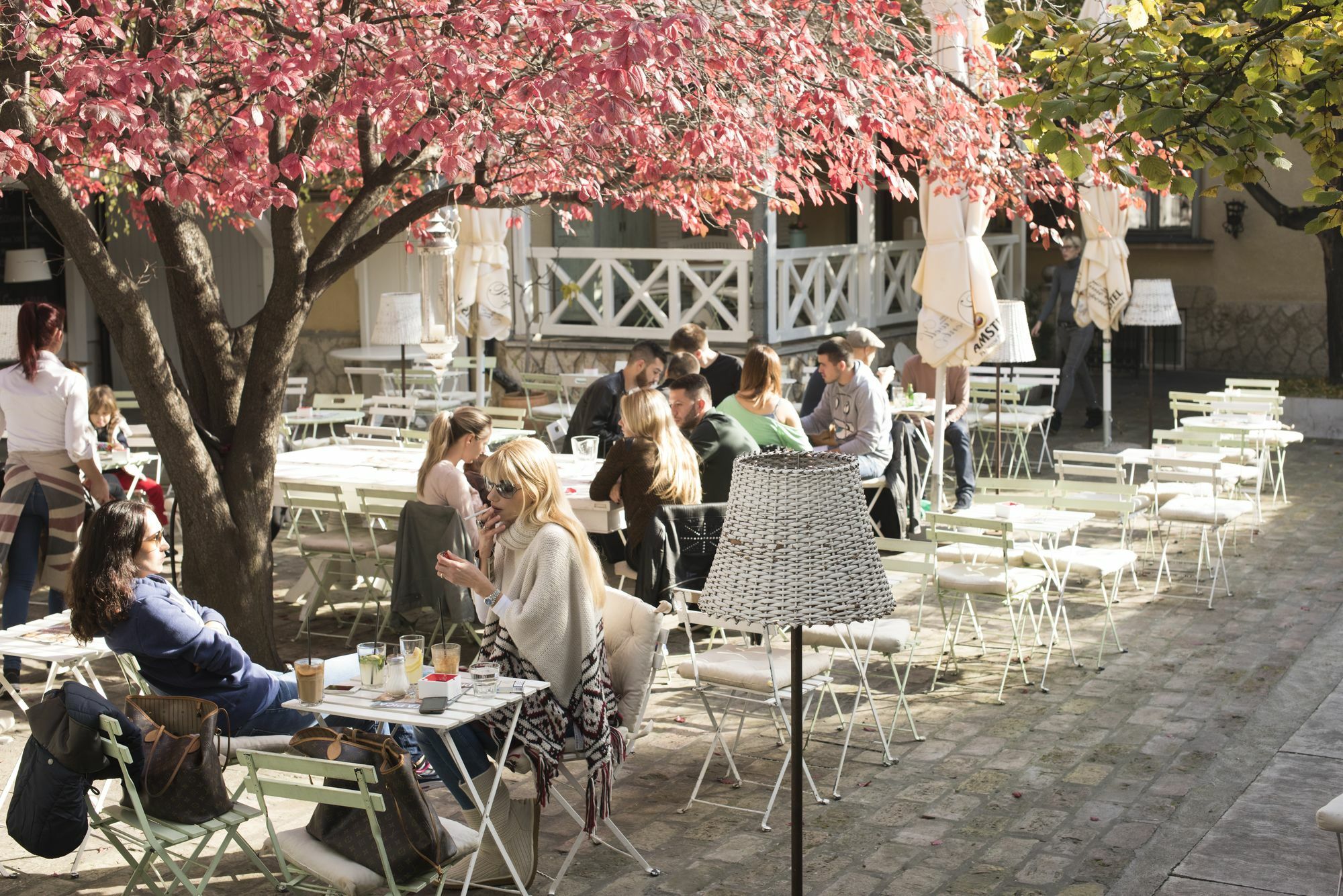 Smokvica Vracar B&B Belgrade Exterior photo